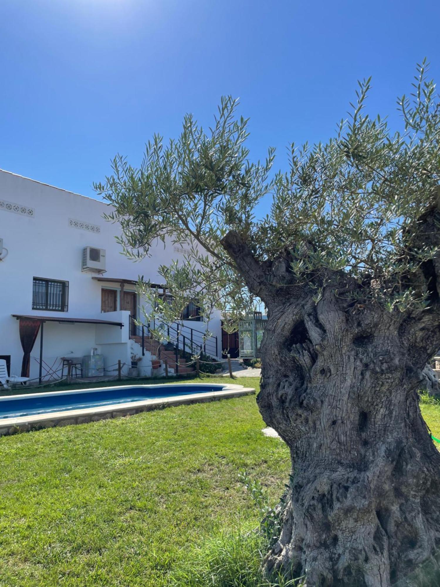 Casa Rural El Miajon Villa El Campo  Exterior foto